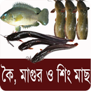 কৈ,শিং, মাগুর মাছ চাষ পদ্ধতি - APK