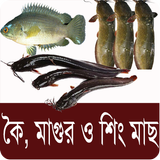 কৈ,শিং, মাগুর মাছ চাষ পদ্ধতি - Bangla Fish Farming ícone