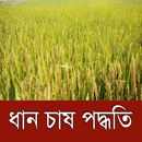 ধান চাষ পদ্ধতি ~ Paddy Cultiva APK