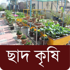 ছাদ কৃষি ~ ছাদ বাগান - Roof Ga ícone