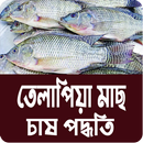 তেলাপিয়া মাছ চাষ পদ্ধতি ~ Til APK