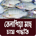 ikon তেলাপিয়া মাছ চাষ পদ্ধতি ~ Tilapia Fish Farm