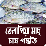 তেলাপিয়া মাছ চাষ পদ্ধতি ~ Tilapia Fish Farm ícone