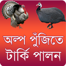 টার্কি পালন ও চিকিৎসা ~ অল্প প APK