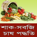 শাক-সবজি চাষ পদ্ধতি ~ Vegetabl APK