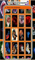 Betta Fish Wallpaper - HD Backgrounds 4K screenshot 1