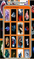 Betta Fish Wallpaper - HD Backgrounds 4K ภาพหน้าจอ 2