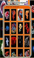 Betta Fish Wallpaper - HD Backgrounds 4K 스크린샷 3
