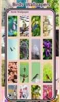 Birds Wallpaper - HD Backgrounds 4K capture d'écran 1