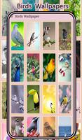 Birds Wallpaper - HD Backgrounds 4K capture d'écran 3