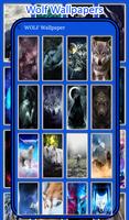 Wolf Wallpaper - HD Backgrounds 4K capture d'écran 1