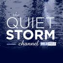 The Quiet Storm APK