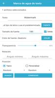 Marca de agua por lotes captura de pantalla 1