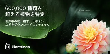 PlantSnap - 花やハーブの写真で識別