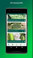 PlantSnap ภาพหน้าจอ 3