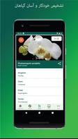 برنامه‌نما PlantSnap عکس از صفحه