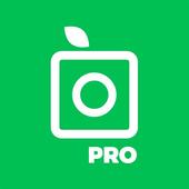 PlantSnap Pro  icon