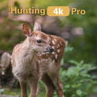 Hunting 4K Pro icon