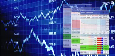 Forex Sentiment Market