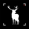 Hunting Camera APK