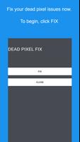 Dead Pixel Fix - LCD & IPS plakat