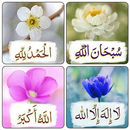 ادعية متجددة صباح ومساء الخير APK