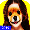 face.swap.2020 APK