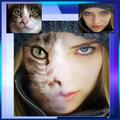 ”Face Fusion the Illusion