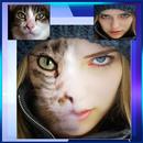 Face Fusion the Illusion APK