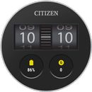 Citizen Retro Time APK