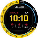Citizen Pilot APK