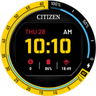 Citizen Pilot icône