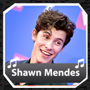 Shawn Mendes 2021 - Offline (Best Music)-APK