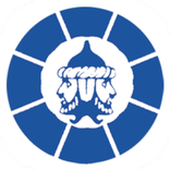 Niballo Palio di Faenza