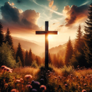 Biblical Thoughts aplikacja