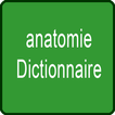 anatomie Dictionnaire