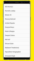 Fake Call Chennai Super Kings Affiche