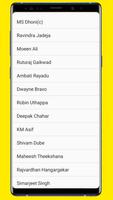 Fake Call Chennai Super Kings poster