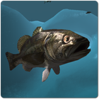 Fish And Grow Feeding Simulator-icoon