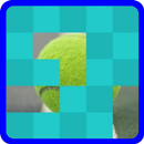 GUESS THE PICTURE WITH TILES APK