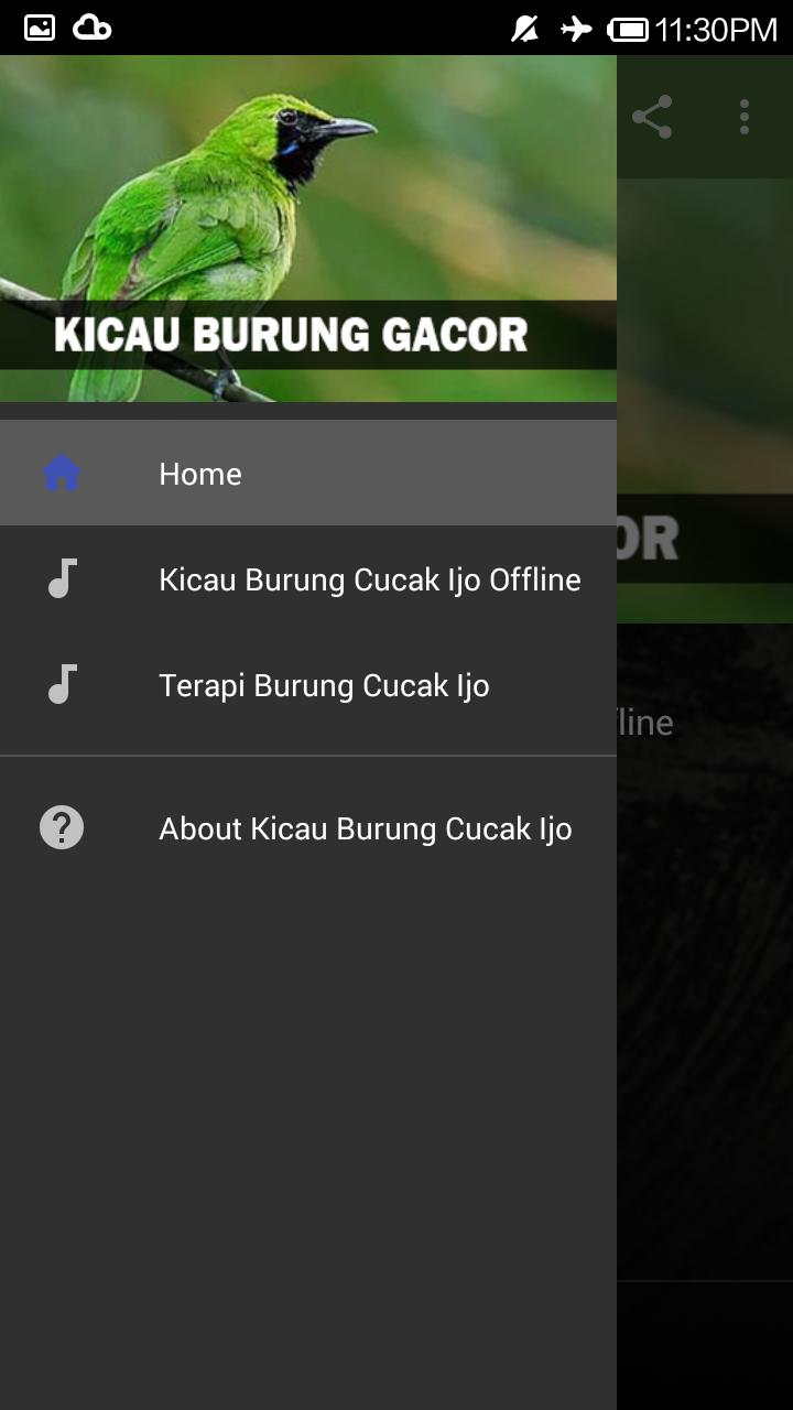 Cucak Ijo Gacor Full Isian For Android Apk Download