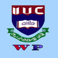 IIUC Web Panels
