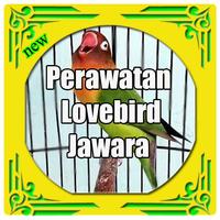 Perawatan Lovebird Lomba постер