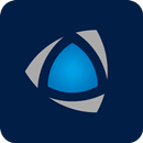 APK Polygon Home