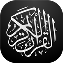 Holy Quraan with Hindi Transla APK