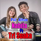 Nabila Ft Tri Suaka - Full Album Offline Ambyar icon