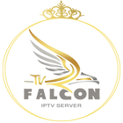 Falcon pro player icône