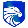 Falcon VPN - Free Proxy VPN