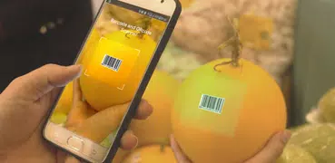 QR Code Scanner & Barcode
