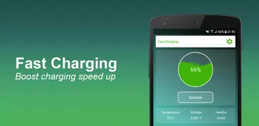 Fast Charging
